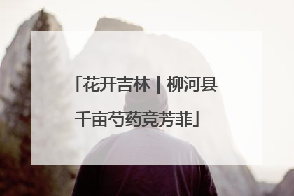 花开吉林｜柳河县千亩芍药竞芳菲