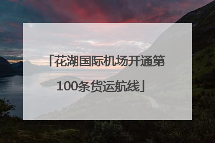 花湖国际机场开通第100条货运航线
