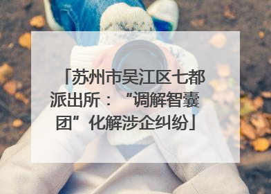 苏州市吴江区七都派出所：“调解智囊团”化解涉企纠纷