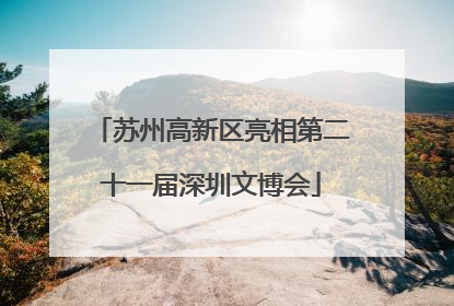 苏州高新区亮相第二十一届深圳文博会