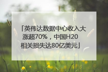 英伟达数据中心收入大涨超70%，中国H20相关损失达80亿美元