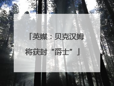 英媒：贝克汉姆将获封“爵士”