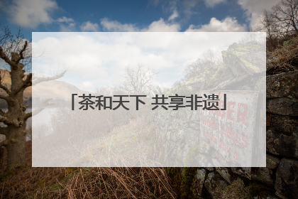 茶和天下 共享非遗