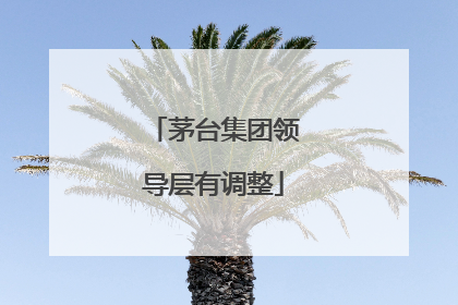 茅台集团领导层有调整