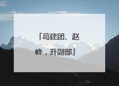 葛建团、赵峰，升副部