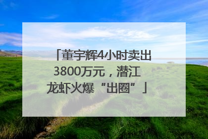 董宇辉4小时卖出3800万元，潜江龙虾火爆“出圈”