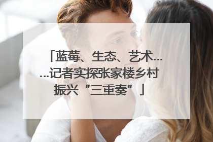 蓝莓、生态、艺术……记者实探张家楼乡村振兴“三重奏”