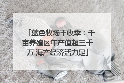 蓝色牧场丰收季：千亩养殖区年产值超三千万 海产经济活力足