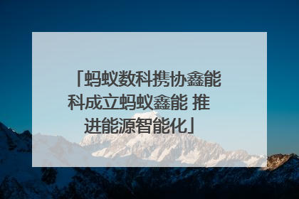 蚂蚁数科携协鑫能科成立蚂蚁鑫能 推进能源智能化