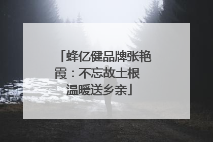 蜂亿健品牌张艳霞：不忘故土根 温暖送乡亲