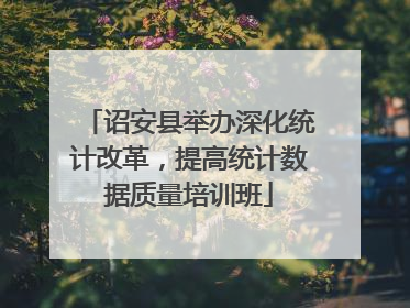 诏安县举办深化统计改革，提高统计数据质量培训班