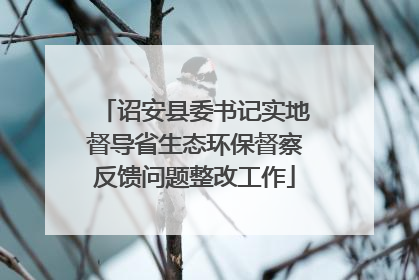 诏安县委书记实地督导省生态环保督察反馈问题整改工作