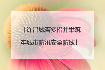 许昌城管多措并举筑牢城市防汛安全防线