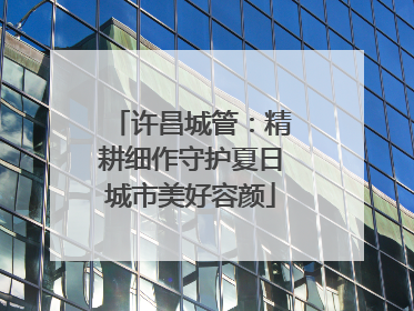 许昌城管：精耕细作守护夏日城市美好容颜