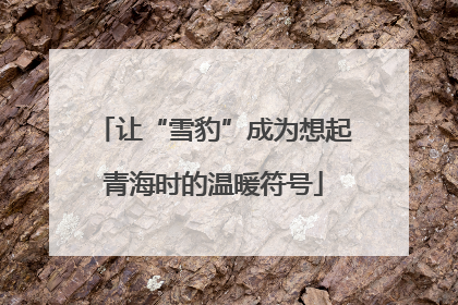让“雪豹”成为想起青海时的温暖符号