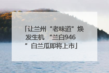 让兰州“老味道”焕发生机 “兰白946”白兰瓜即将上市