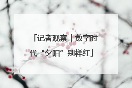记者观察｜数字时代“夕阳”别样红