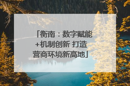 衡南：数字赋能+机制创新 打造营商环境新高地
