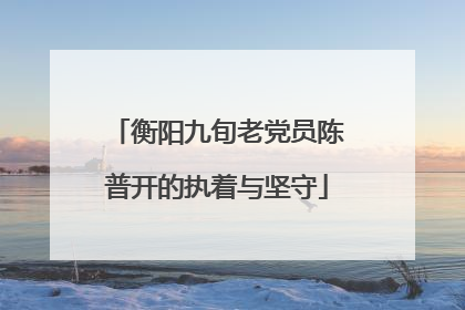 衡阳九旬老党员陈普开的执着与坚守