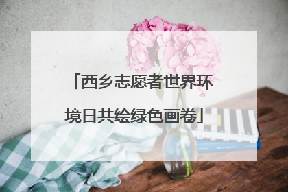西乡志愿者世界环境日共绘绿色画卷