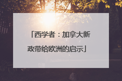 西学者：加拿大新政带给欧洲的启示