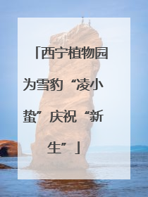 西宁植物园为雪豹“凌小蛰”庆祝“新生”