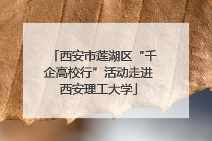 西安市莲湖区“千企高校行”活动走进西安理工大学