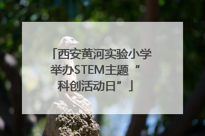 西安黄河实验小学举办STEM主题“科创活动日”
