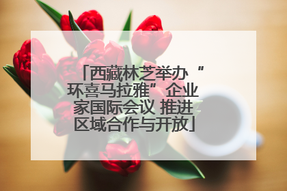 西藏林芝举办“环喜马拉雅”企业家国际会议 推进区域合作与开放