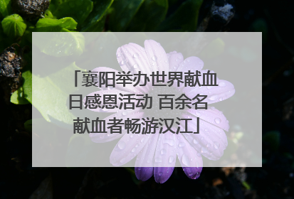 襄阳举办世界献血日感恩活动 百余名献血者畅游汉江