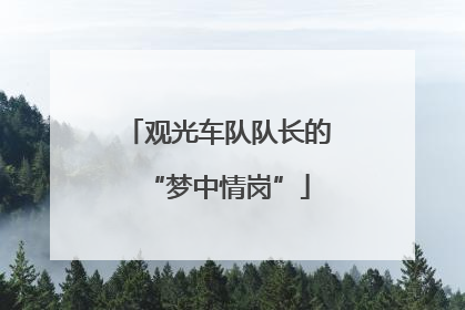 观光车队队长的“梦中情岗”
