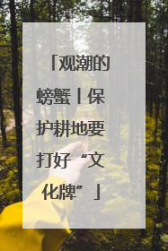 观潮的螃蟹丨保护耕地要打好“文化牌”