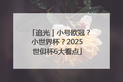 追光｜小号欧冠？小世界杯？2025世俱杯6大看点