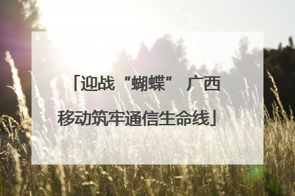 迎战“蝴蝶” 广西移动筑牢通信生命线