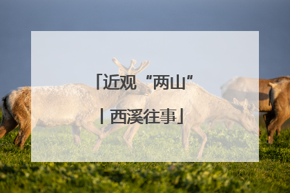 近观“两山”丨西溪往事
