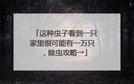 这种虫子看到一只家里很可能有一万只，除虫攻略→