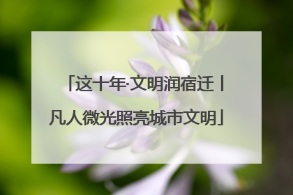 这十年·文明润宿迁丨凡人微光照亮城市文明