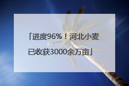 进度96%！河北小麦已收获3000余万亩