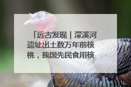 远古发现｜濛溪河遗址出土数万年前核桃，我国先民食用核桃历史大幅提前