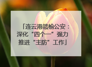 连云港赣榆公安：深化“四个一”强力推进“主防”工作
