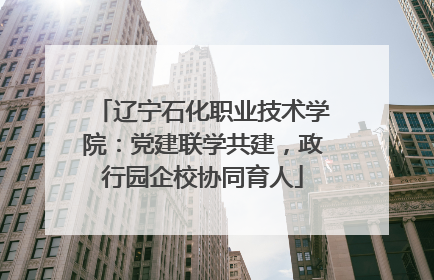 辽宁石化职业技术学院：党建联学共建，政行园企校协同育人