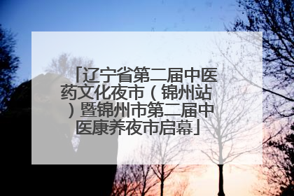 辽宁省第二届中医药文化夜市（锦州站）暨锦州市第二届中医康养夜市启幕
