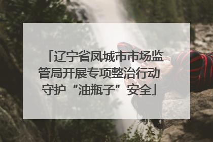 辽宁省凤城市市场监管局开展专项整治行动守护“油瓶子”安全