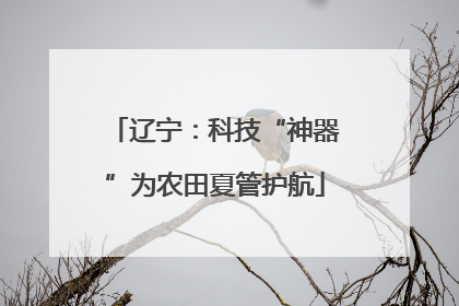辽宁：科技“神器”为农田夏管护航