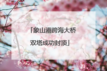 象山港跨海大桥双塔成功封顶