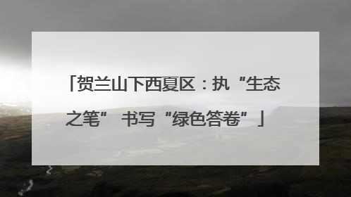贺兰山下西夏区：执“生态之笔” 书写“绿色答卷”