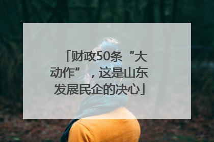 财政50条“大动作”，这是山东发展民企的决心