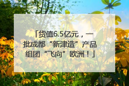 货值6.5亿元，一批成都“新津造”产品组团“飞向”欧洲！