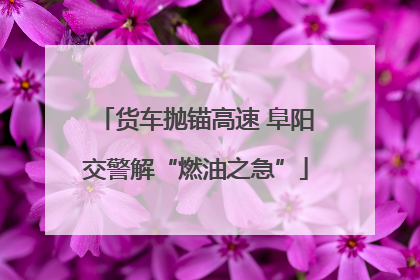 货车抛锚高速 阜阳交警解“燃油之急”