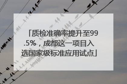 质检准确率提升至99.5%，成都这一项目入选国家级标准应用试点